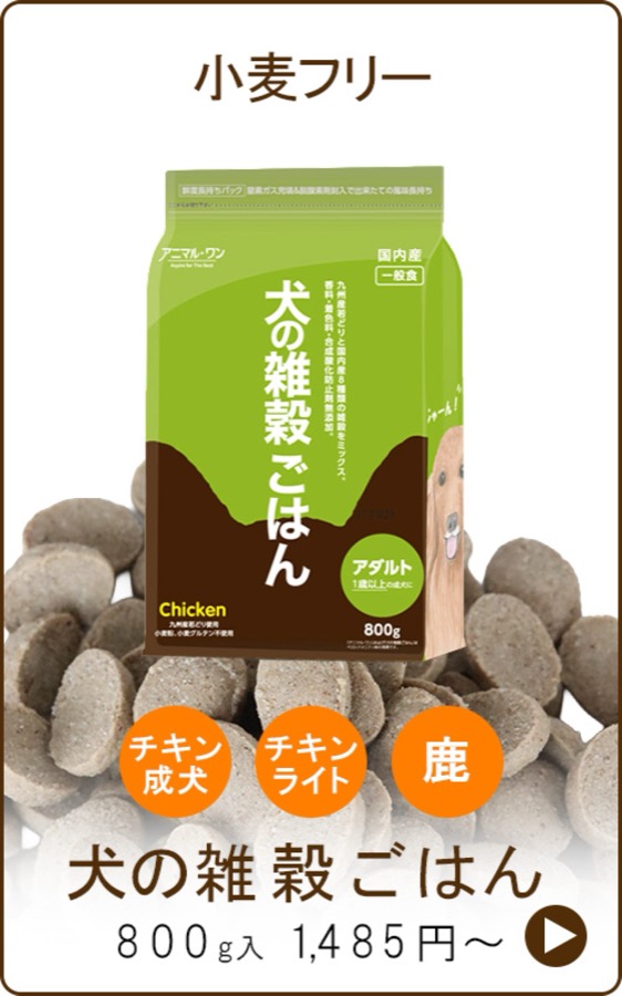犬の雑穀ごはん(小麦フリー)